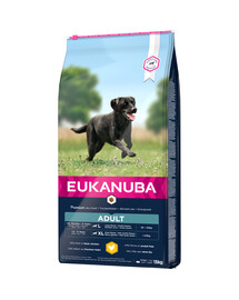EUKANUBA Active Adult Large Breed 18 kuu kuni 6-aastastele suurtele koertele rohkelt kanaga 15 kg