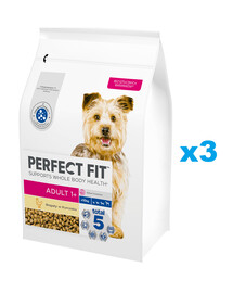 PERFECT FIT Adult 1+ kuiv täistoit täiskasvanud väikest tõugu koertele, kanarikas 3x2,6 kg