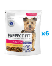 PERFECT FIT Adult 1+ kuiv täistoit täiskasvanud väikestele tõukoertele, mis sisaldab rohkelt kana 6x825 g.