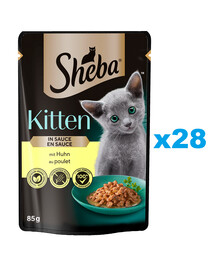 SHEBA Kitten kotike 28x85 g märg täistoit kassipoegadele kana kastmes tükkidega