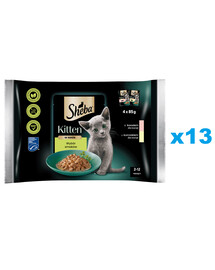 SHEBA Kitten choice of flavours kotikesed 52x85 g niiske täistoit kassipoegadele kastmetükkidega: lõhe, kana