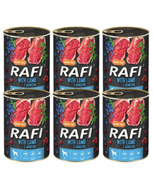 DOLINA NOTECI RAFI Lamb z jagnięciną mokra karma dla psa 6x800 g