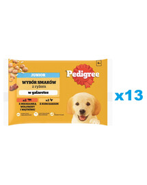 PEDIGREE Junior Valik maitsed riisiga kotike 52x100g kutsikate märgtoit želees kana- ja veiselihaga