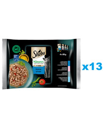 SHEBA Nature's Collection Fish Flavours 52x85 g märg täistoit täiskasvanud kassidele kastmetükkides tuunikala, lõhe, tursa, ookeanikalaga