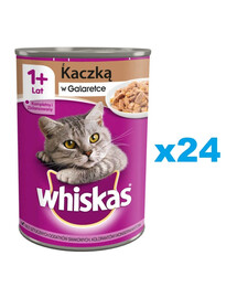WHISKAS Adult purk 24x400 g - märg täistoit täiskasvanud kassidele, tükkide ja pardiga želees