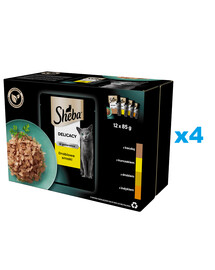 SHEBA Delicacy Poultry Flavour Sachets 48x85g märg täistoit täiskasvanud kassidele tarretise tükkidega: part, kana, linnuliha, kalkun