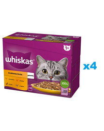 WHISKAS Adult kotike 48x85g Poultry Feast märja kassitoit želatiinis koos: kana, part, linnuliha, kalkun, kalkuniga