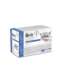 Veterinary Diet Grain Free Recovery Cat Fillets in Gravy Salmon 12x85g dla kotów w okresie rekonwalescencji