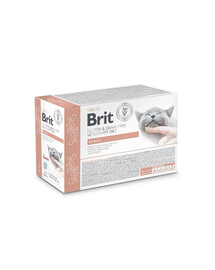 Veterinary Diet Grain Free Renal Cat Fillets in Gravy Salmon 12x85g dla kotów wspomagająca funkcje nerek