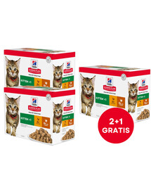 HILL'S Science Plan Feline Kitten Multipack Chicken & Turkey 85 g x12 Szt. (2+1 GRATIS)