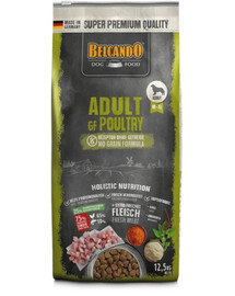 Grain Free Adult Poultry 22,5 kg bezzbożowa karma dla psów ras średnich i dużych