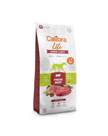 Dog Life Junior Large Fresh Beef 12 kg dla juniorów dużych ras z wołowiną