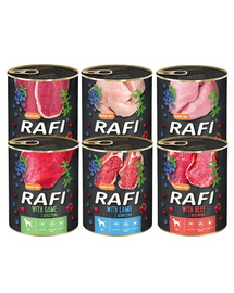 DOLINA NOTECI Rafi Premium Mix smaków 24x800g