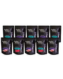 DOLINA NOTECI Premium mix smaków 10x85 g
