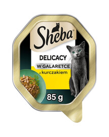 Delicacy z kurczakiem w galaretce 85 g mokra karma dla kotów