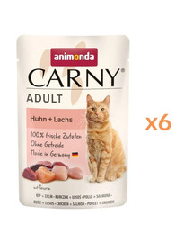 ANIMONDA Carny Adult Pouch Kurczak i łosoś 6x85g mokra karma dla kotów