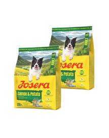 JOSERA Salmon and Potato Adult 2x900g bezzbożowa karma dla psów z wrażliwym żołądkiem