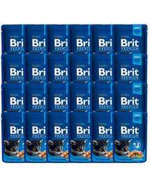 Premium Kitten kurczak dla kociąt saszetka 24 x 100 g