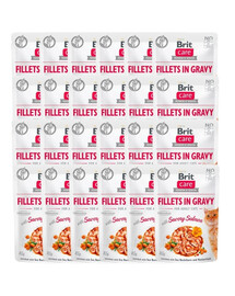 Care Fillets in gravy savory salmon 24 x 85 g filety łososia w sosie