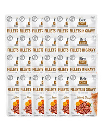 Care Fillets in gravy kaczka 24 x 85 g filety kaczki w sosie
