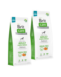 BRIT Care Grain-free Adult Large Breed Salmon 2 x 12kg bezzbożowa karma dla psów dużych łosoś