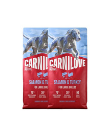 CARNILOVE Active Dog Salmon & Turkey Adult Large Breeds 2x12 kg łosoś i indyk, dla dorosłych psów dużych ras