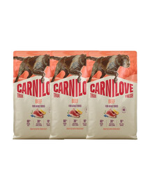 CARNILOVE True Fresh Dog Beef Adult 3x4 kg sucha karma ze świeżą wołowiną dla dorosłych psów