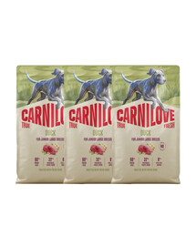 CARNILOVE True Fresh Dog Duck Junior Large 3x4 kg sucha karma ze świeżą kaczką dla juniorów dużych ras