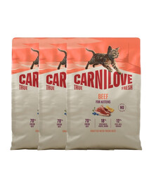 CARNILOVE True Fresh Cat Beef Kittens 3x2 kg wołowina, dla kociąt wszystkich ras