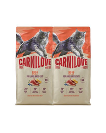 CARNILOVE True Fresh Cat Beef Adult Large 2x6 kg wołowina, dla kotów dużych ras
