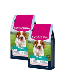 EUKANUBA Adult Small Medium Breeds Salmon Barlej 2x12 kg sucha karma dla psów małych i średnich ras bogata w łososia i jęczmień