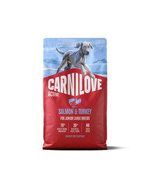 CARNILOVE Active Dog Salmon & Turkey 4 kg Junior Large Breeds łosoś i indyk, dla dorastających juniorów ras dużych