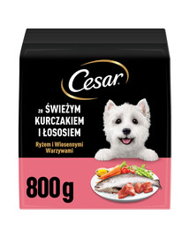 CESAR Adult z kurczakiem i łososiem 800g sucha karma dla psa