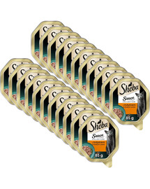 SHEBA Sauce Collection z indykiem w białym sosie 22x85 g mokra karma dla kotów
