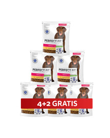 PERFECT FIT Adult 1+ sucha karma pełnoporcjowa dla dorosłych psów dużych ras bogata w kurczaka 6 x 825 g 4+2 GRATIS