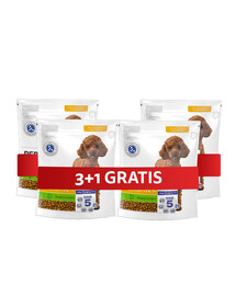 PERFECT FIT Sensitive 1+ sucha karma pełnoporcjowa dla dorosłych psów małych ras bogata w indyka 4 x 825 g 3+1 GRATIS