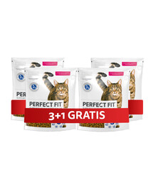 PERFECT FIT Adult 1+ 4 x 750 g sucha karma pełnoporcjowa dla dorosłych kotów bogata w świeżego łososia 3+1 GRATIS
