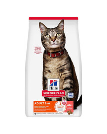 HILL'S Science Plan Feline Adult Salmon 10 kg sucha karma z łososiem dla dorosłych kotów