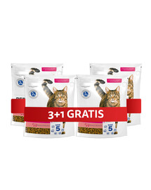 PERFECT FIT Active 1+ 4 x 750 g sucha karma pełnoporcjowa dla dorosłych kotów bogata w wołowinę 3+1 GRATIS
