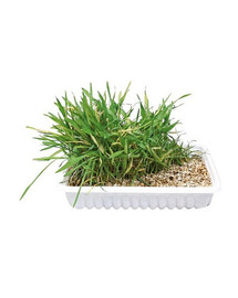 Trixie kassimuru 130 g