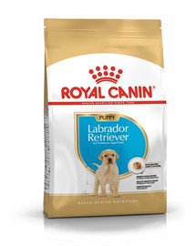 Royal Canin Labrador Retriever Junior 12 kg kutsikatele anda kõiki vajalikke toitaineid, et edendada nõuetekohast kasvu ja üldist tervist.