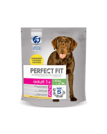 Perfect Fit Adult (1-aasta) kanalihaga rikastatud  toit keskmist ja suurt tõugu koertele 5 X 825 g