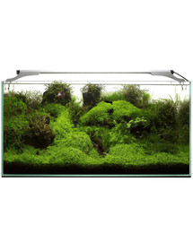 Aquael Leddy Slim 36W Plant 100-120 cm LED valgusti akvaariumile