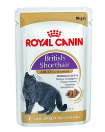 Royal Canin  Briti lühikarvaline