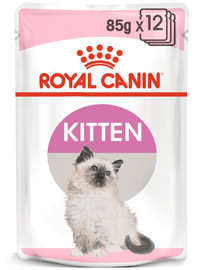Royal Canin Kitten pasteet 12 X 85 g