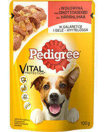 PEDIGREE konservuotas maistas šunims su jautiena 100 g