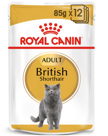 Royal Canin British Shorthair 85 g