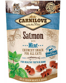 CARNILOVE Crunchy snacks krõbedad maiuspalad lõhe ja piparmündiga 50 g