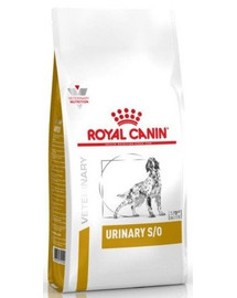 ROYAL CANIN Dog Urinary S/O 13 kg täisväärtuslik koeratoit, mis lahustab struviit kive ja takistab nende uuesti tekkimist