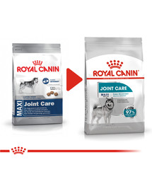 ROYAL CANIN CCN Maxi Joint Care kuivtoit täiskasvanud koertele, suurtele tõugudele, liigesetoetus 10 kg